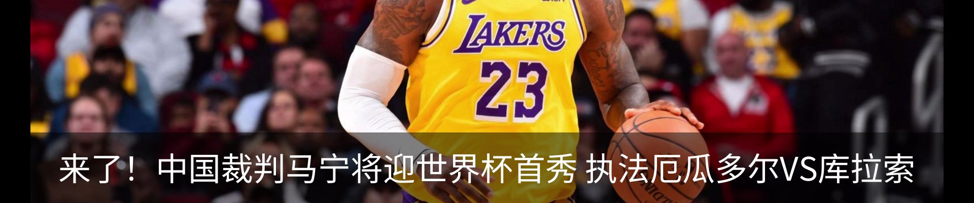 新闻动态