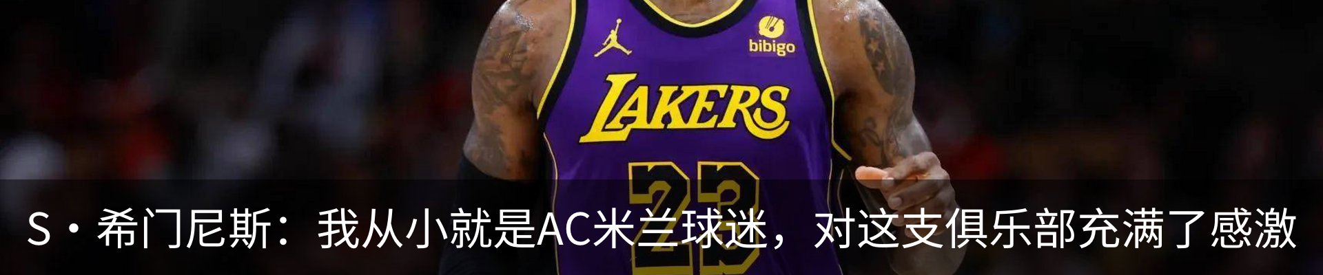 新闻动态